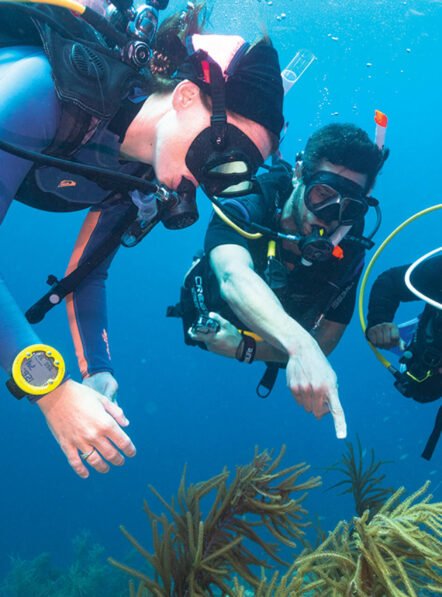 PADI-Advanced-Open-Water-Dive